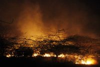 BNPB Turun Tangan Atasi Kebakaran Lahan Aceh