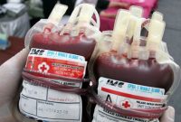Indonesia Kekurangan 1,1 Juta Kantong Darah
