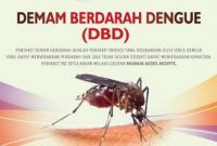 Menkes Berharap Indonesia Segera Temukan Vaksin DBD