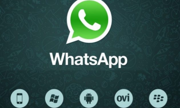 YLKI Minta Konten Porno di WhatsApp Dihapus