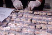 Alasan Surga Pemasok, Harga Narkoba di Indonesia Tinggi