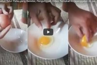 Bareskrim Buru Penyebar Video Hoaks Telur Palsu
