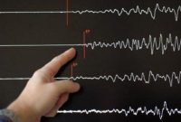 BMKG: Gempa Manokwari Tidak Berpotensi Tsunami