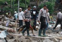 Polda Lampung Cari Korban Tsunami Menggunakan Anjing Pelacak