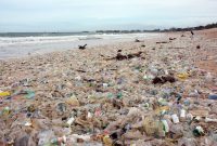 Sampah Plastik Penuhi Pantai Kedonganan Bali