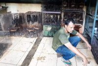 Kelelawar Jadi Pemicu Virus Corona, Pedagang Kelelawar di Solo Tidak Khawatir
