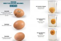 Jangan Salah, Kenali Ciri Telur yang Sehat Dikonsumsi