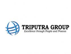 Lowongan Internship Triputra Group
