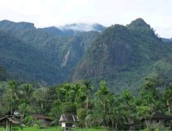 Gubernur Sumbar : Pemeliharaan Hutan Menjadi Kontribusi Pemprov untuk Menjaga Lingkungan