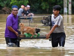 Sejumlah Korban Banjir Malaysia Belum Dapat Bantuan dari Pemerintah