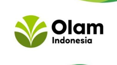 Lowongan Kerja Pt Olam Indonesia Kabar Baik Dari Seluruh Indonesia