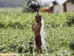 Warga India Mengeluh Makin Sengsara Hadapi Cuaca Panas Hingga 45°C