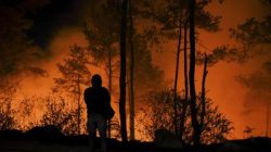 42 Hektare Hutan dan Lahan di Kalsel Terbakar