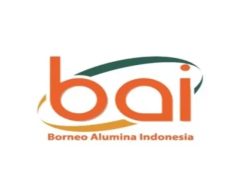 Lowongan Kerja PT Borneo Alumina Indonesia